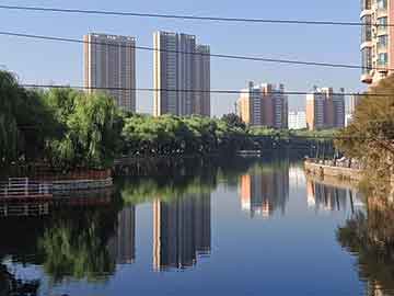 2025澳门今晚开什么澳门,澳门今晚的开奖结果预测与探讨 —— 以博彩文化为视角