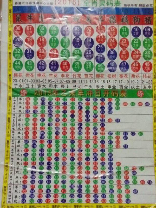 2025十二生肖49码表,最佳解答解释落实_mu168.98.89
