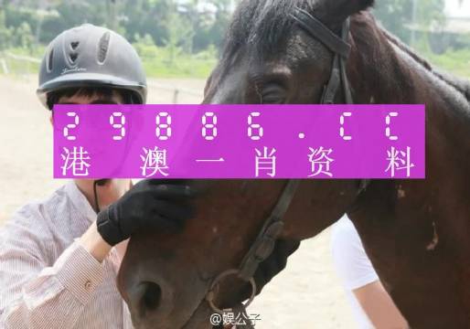今晚澳门最准一肖一码,最佳解答解释落实_mu168.98.89