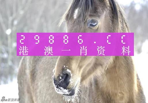 澳门一肖一码准确100%,最佳解答解释落实_mu168.98.89