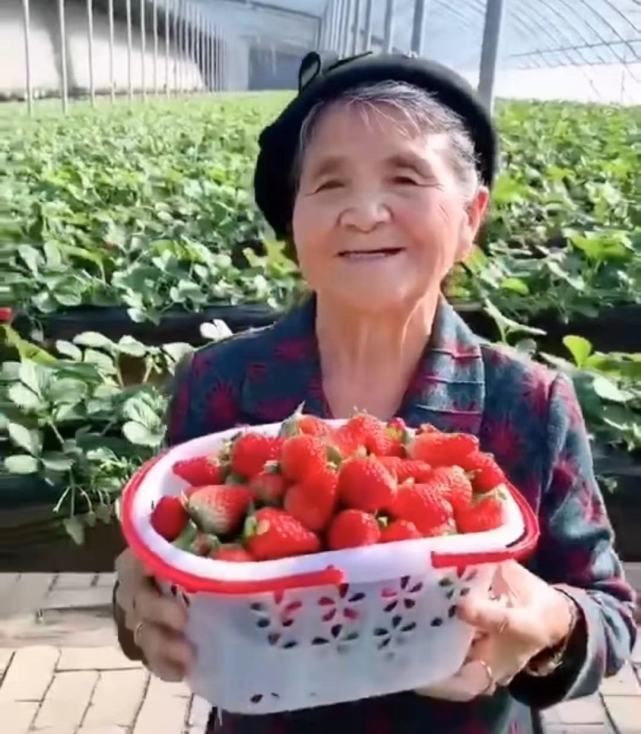 新澳好彩免费资料查询水果奶奶,最佳解答解释落实_mu168.98.89