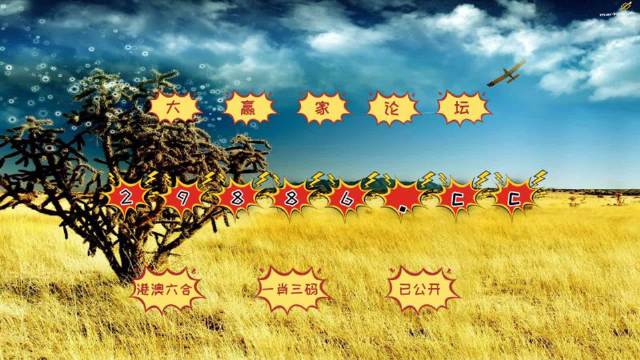 快评 第408页