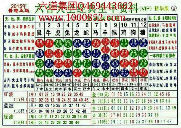 2025十二生肖49码表,最佳解答解释落实_mu168.98.89