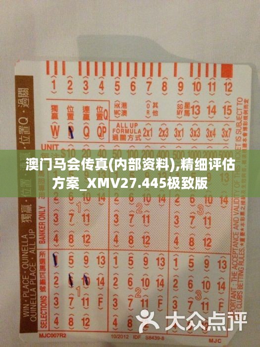 马会传真免费公开资料,最佳解答解释落实_mu168.98.89