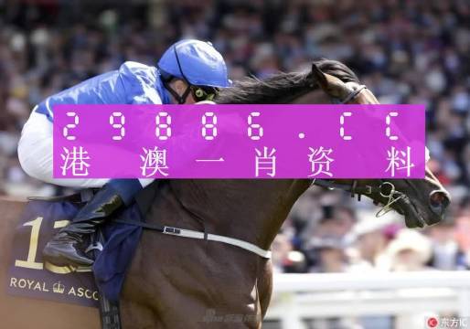 澳门精准一码投注攻略,最佳解答解释落实_mu168.98.89