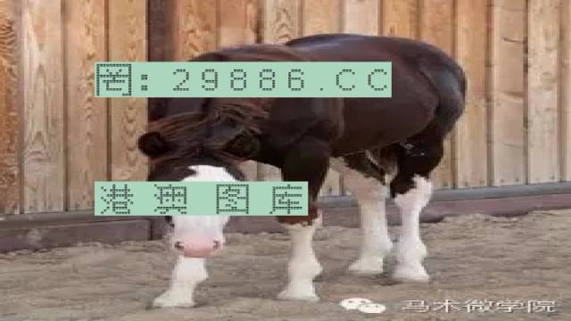 7777788888一肖一码,最佳解答解释落实_mu168.98.89