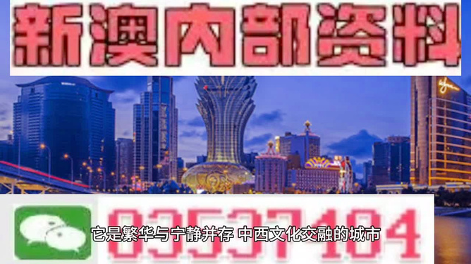 新澳门正版免费资料怎么查,最佳解答解释落实_mu168.98.89
