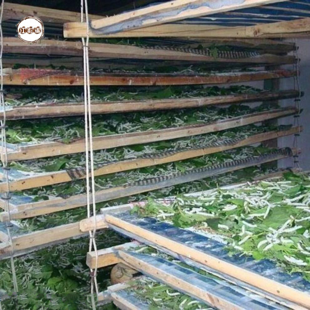 澳门最精准正最精准龙门蚕2025,最佳解答解释落实_mu168.98.89