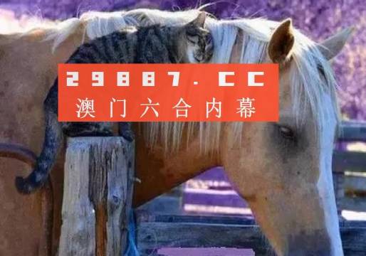 澳门内部中一码资料,最佳解答解释落实_mu168.98.89