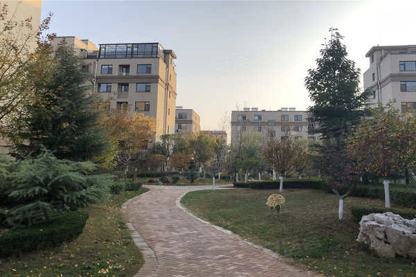 第1002页