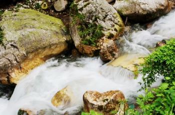 九龙沟风景区最新消息