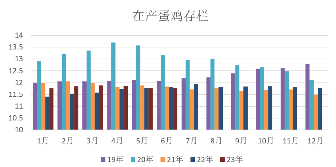 最新消息鸡旦走势