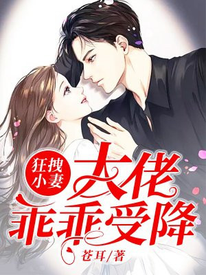 霸情帝少爱不够叶最新