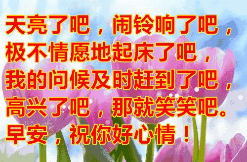 早晨的空气是最新鲜的