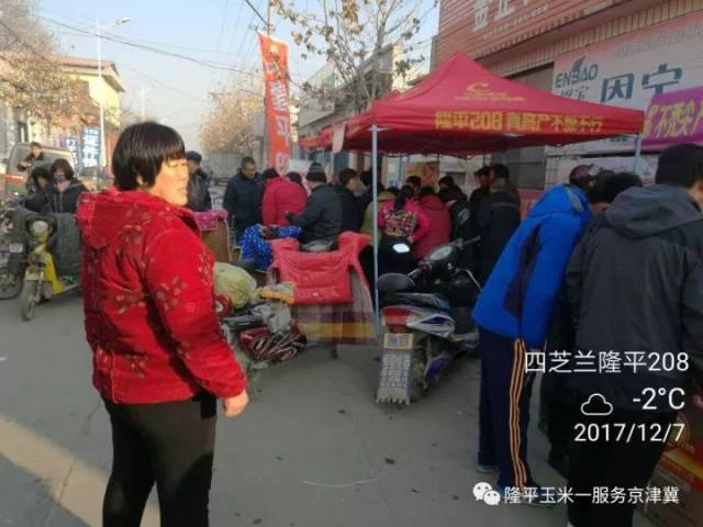 宁晋贴吧最新消息视频