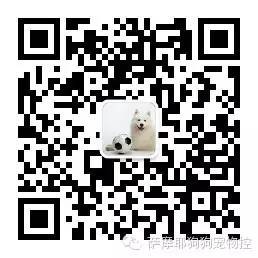 最新狗狗微信群二维码
