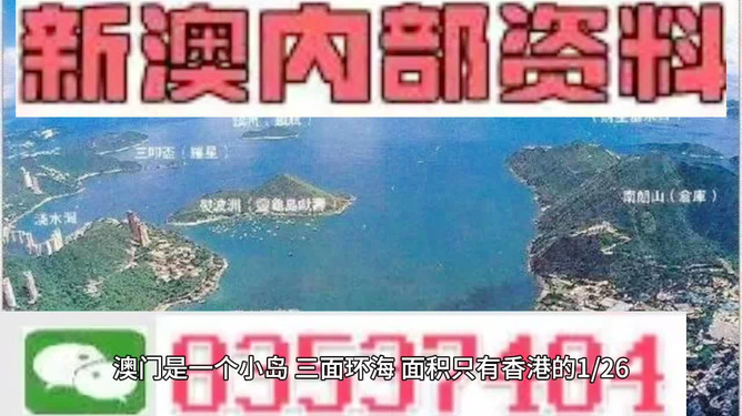 新澳门最精准确精准龙门,新澳门最精准确精准龙门，探索与揭秘