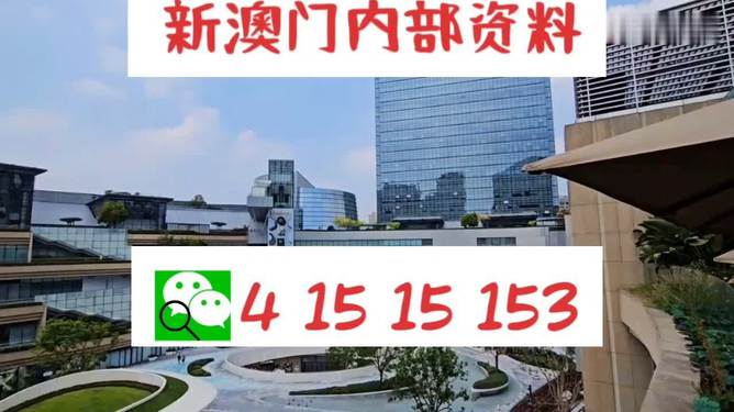 777788888新澳门开奖,新澳门开奖777788888——探索数字背后的奥秘