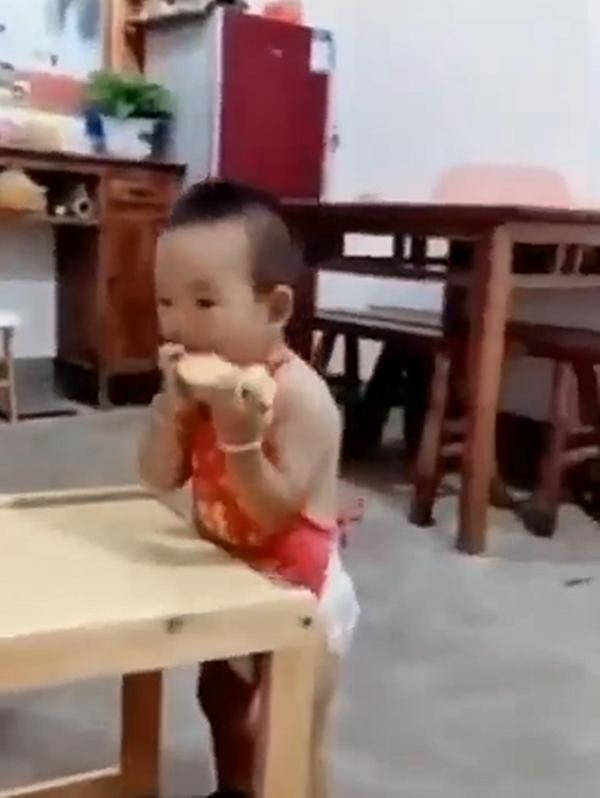 水果奶奶二论坛资料,水果奶奶二论坛资料深度解析