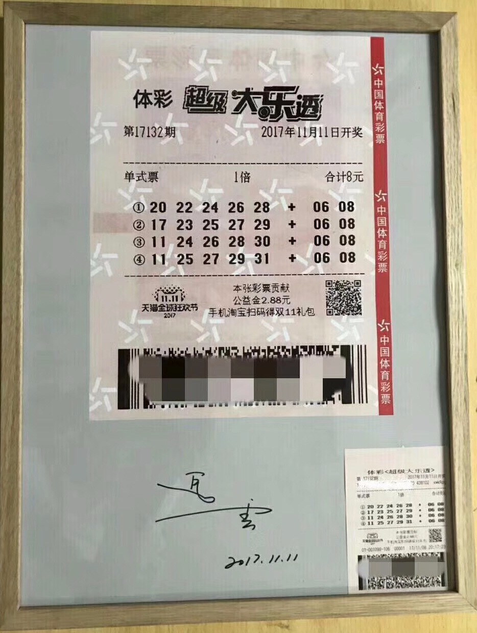 新澳313今晚开奖结果查询,新澳313今晚开奖结果查询——揭秘彩票背后的故事