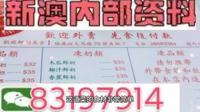 新澳门全年资料内部公开,新澳门全年资料内部公开，深度解读与探索