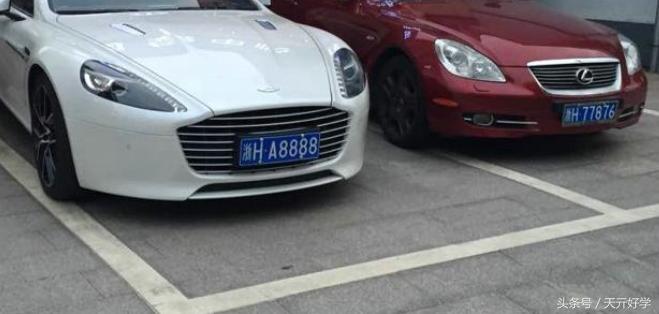 7777788888新版跑狗图,探索新版跑狗图，77777与8888的魅力交织
