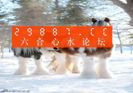 今晚四不像必中一肖图118,今晚四不像必中一肖图，揭秘神秘预测背后的故事与真相（附详解）
