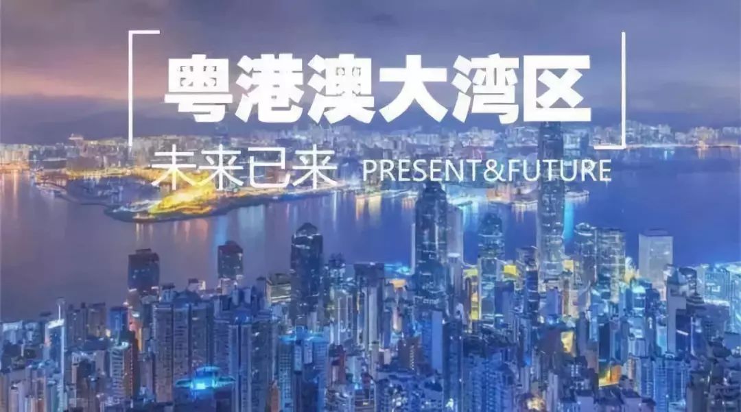 澳门今晚一肖必中特,澳门今晚一肖必中特，探索预测与运气之间的微妙关系