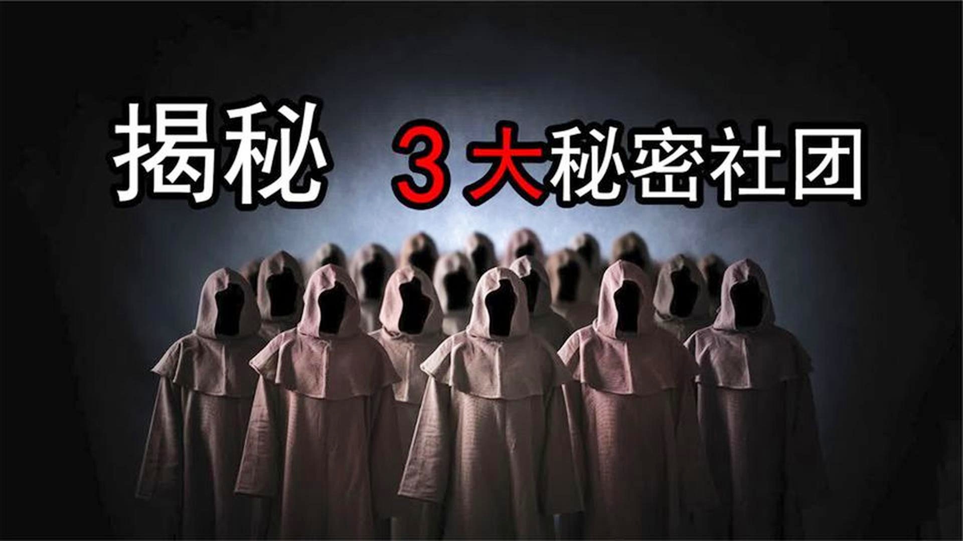 澳门一肖中100%期期准揭秘,澳门一肖中100%期期准揭秘，探索背后的秘密与真相
