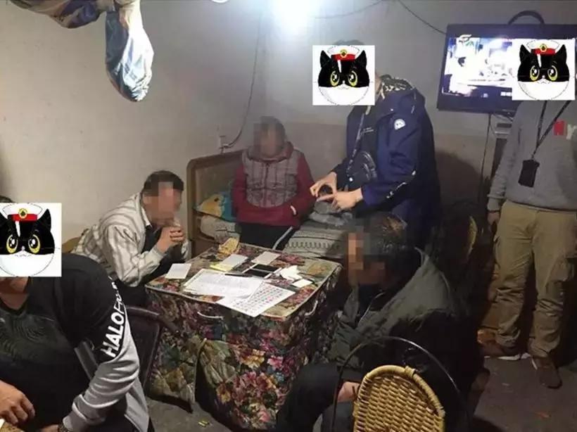 六和彩资料有哪些网址可以看,探索六和彩资料，获取资讯的正规途径与策略