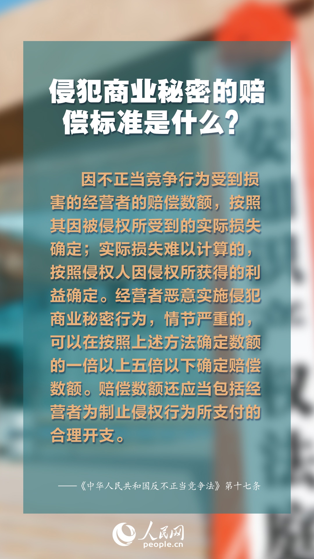 2025年正版免费资料大全最新版本,探索未来知识宝库，2025正版免费资料大全最新版本概览