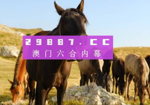 新奥门马料免费大全,新澳门马料免费大全，探索与赏析