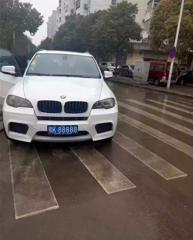 7777788888王中王免费开奖,揭秘王中王彩票背后的故事，77777与88888的神秘免费开奖之旅