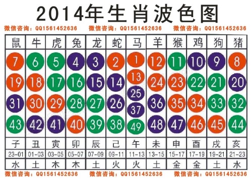 2025十二生肖49码表,揭秘十二生肖与数字密码，独特的2025年十二生肖49码表